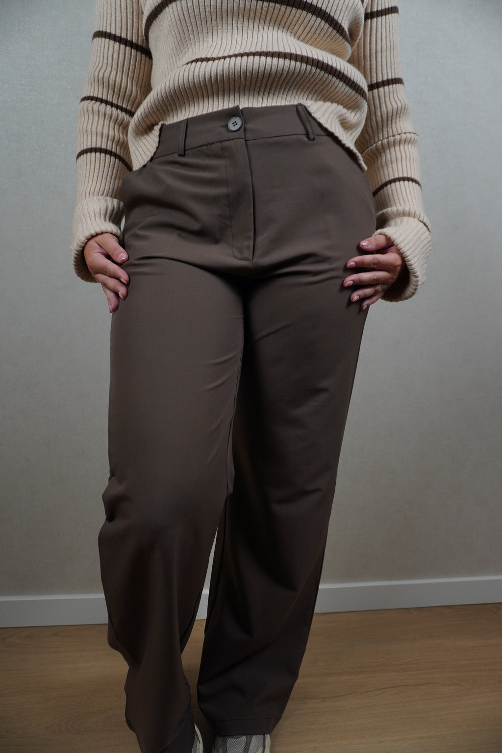 Pantalon Lieve bruin