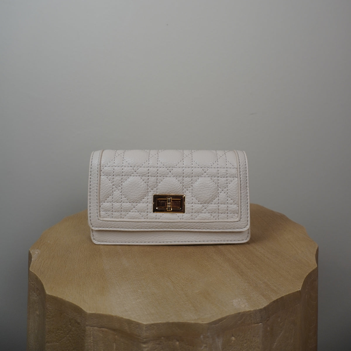 Tas Amy wit